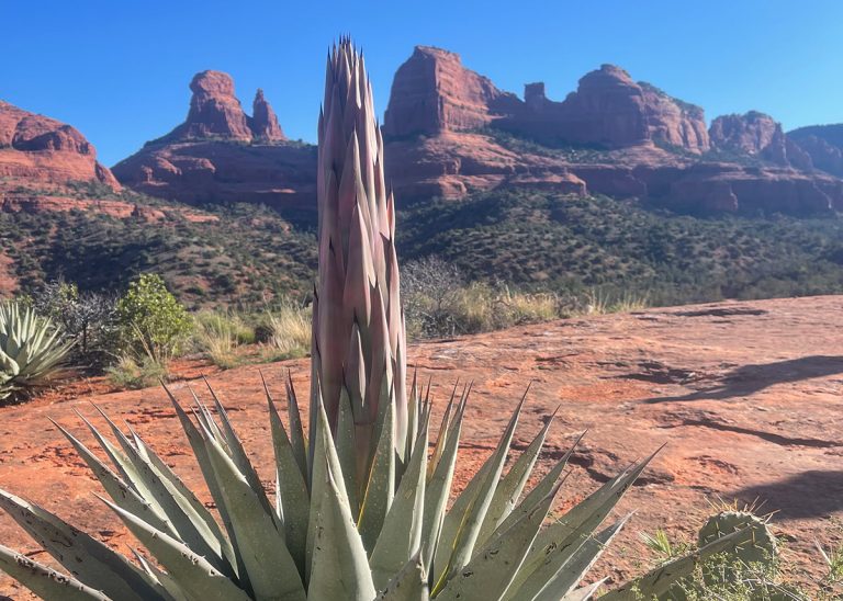 vortex-yoga-hiking-in-sedona-slide-13